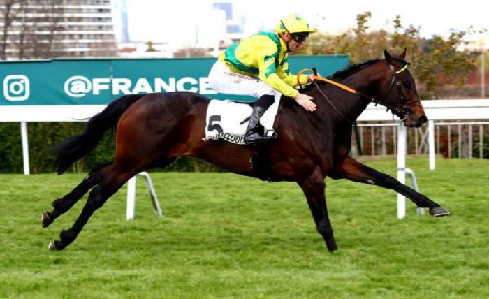 fideleturf